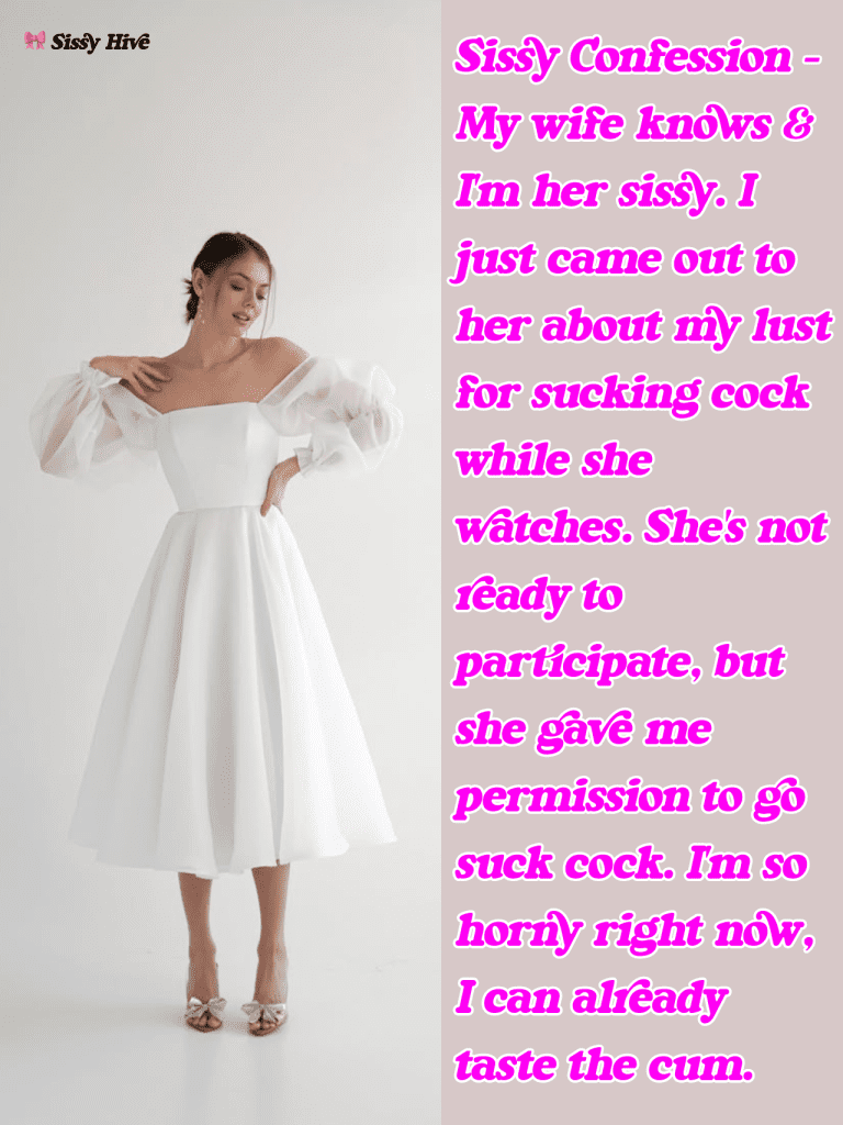 Sissy Wife Captions