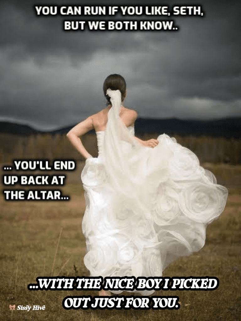 Sissy Bride Captions 3